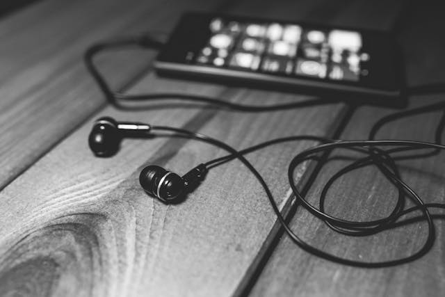 best budget earphones
